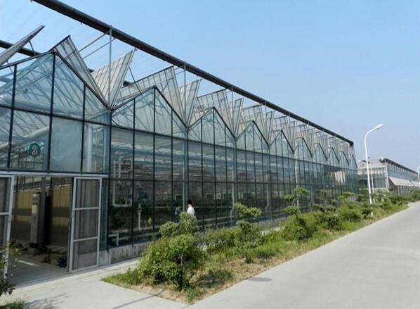 水蜜桃视频在线免费陽光板溫室大棚