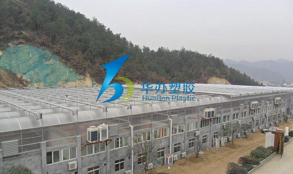 湖北十堰清風鎮水蜜桃视频在线免费板生態餐廳