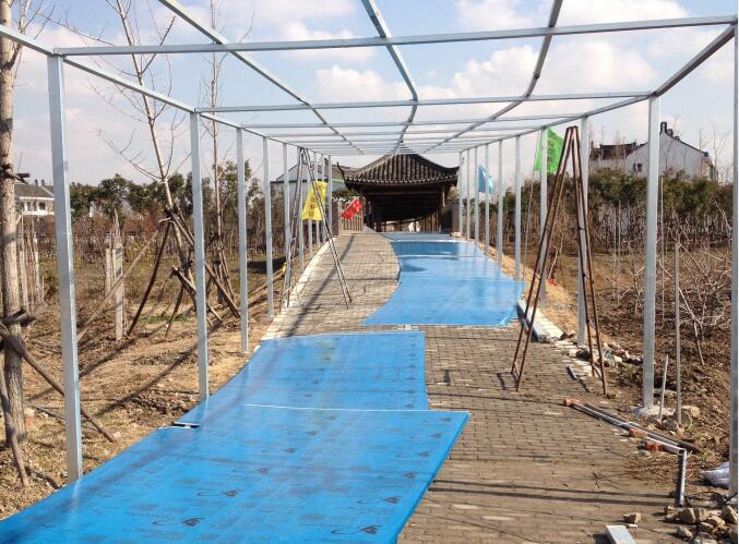 上海金山果園走廊-水蜜桃视频在线免费陽光板