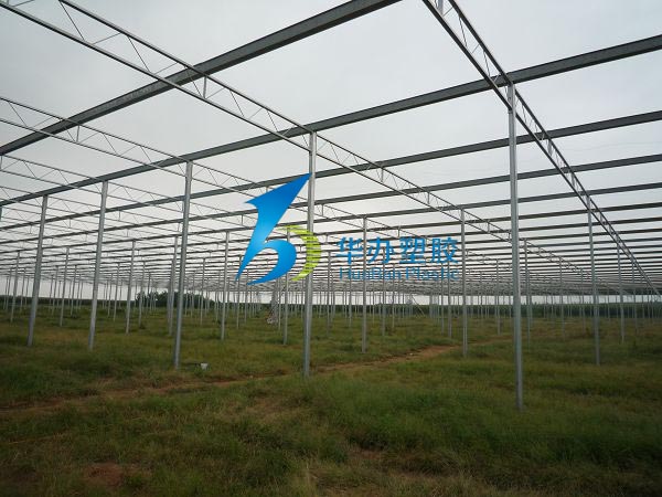連雲港東海縣雙店鎮溫室大棚水蜜桃视频在线免费陽光板