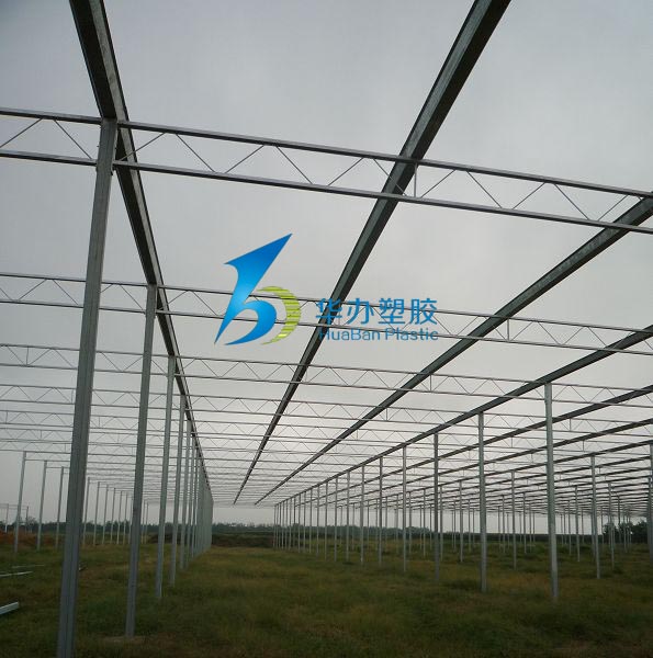 溫室大棚水蜜桃视频在线免费陽光板