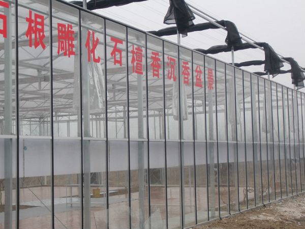 揚州盆景養殖溫室大棚工程 水蜜桃视频在线免费陽光板
