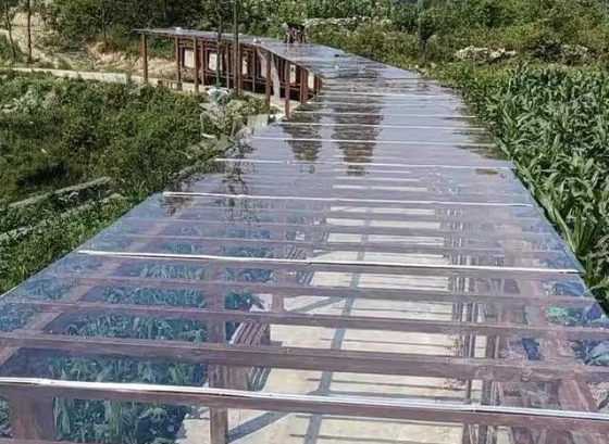 水蜜桃视频在线免费板可以做哪些產品？
