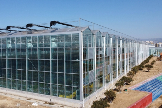 上海蜜桃AV免费进入入口塑膠水蜜桃视频在线免费陽光板可以上門安裝嗎？